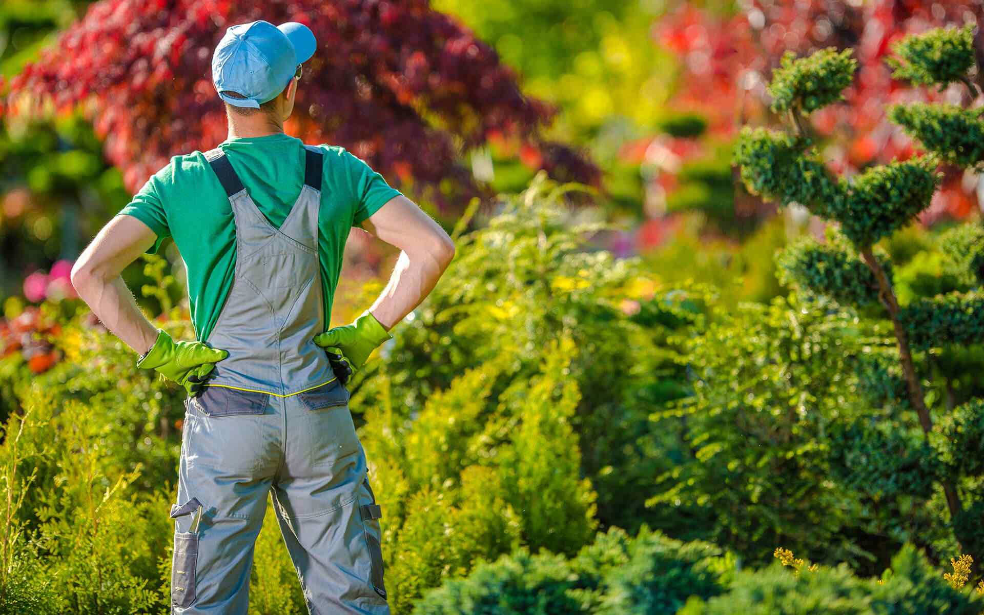 inner_02_home_02 https://nicoburbes.de/wp-content/uploads/2019/08/inner_02_home_02.jpg